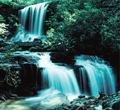 Waterfalls Insert Waterfalls Insert